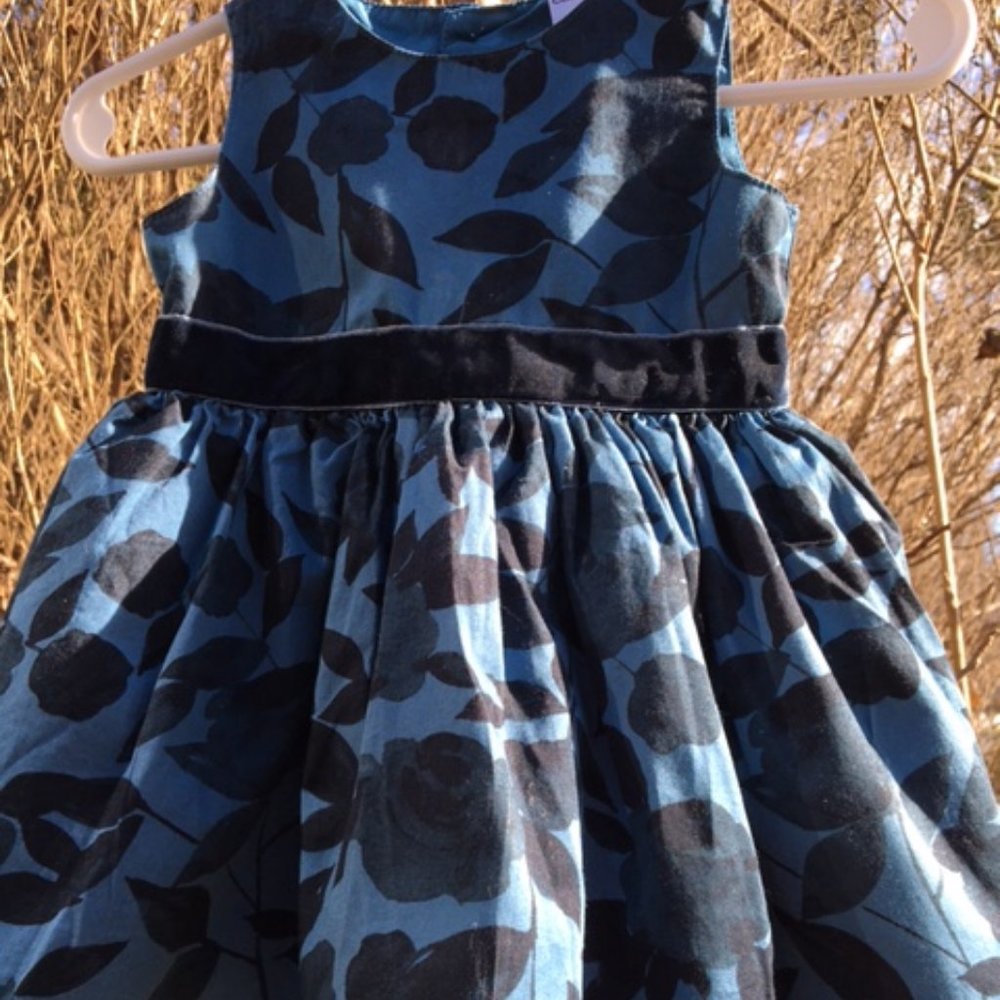 Adorable, Floral, Subtle Blues, NWOT Carter's Party Dress. 3 months